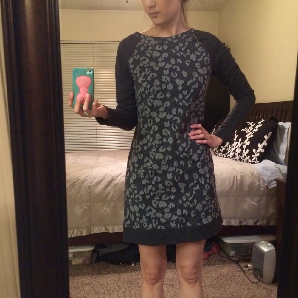 Ann Taylor Loft Leopard Dress XS